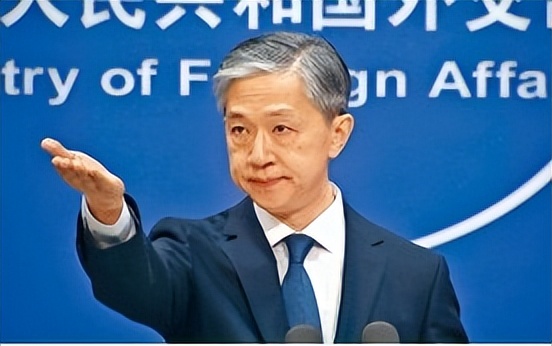 "小清新"外交部翻译走红,是学霸也是女神