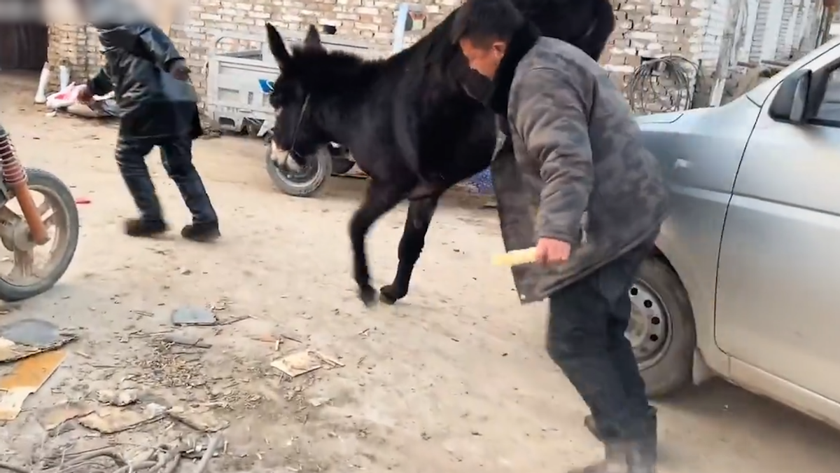 《驴得水》耗资1000万，为什么票房能卖到1.7亿？原因和这7年有关