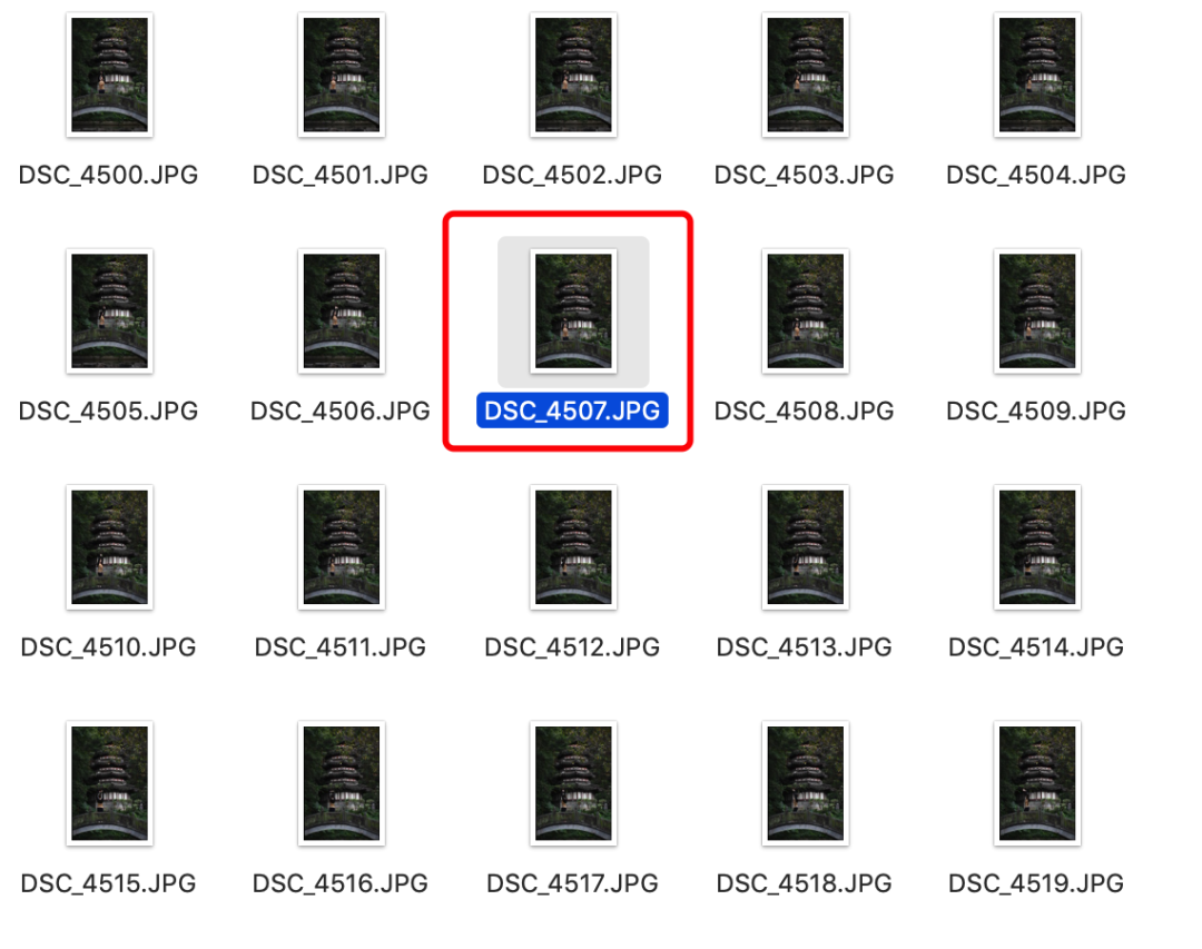 全能组合 尼康Z7Ⅱ和Z 24-120mm f/4 S人像实拍