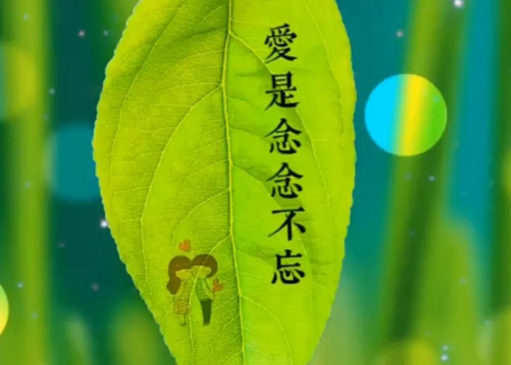 在红尘的烟火中,扯一帘明月当做爱的天堂,两心相依着走在时光的长巷里