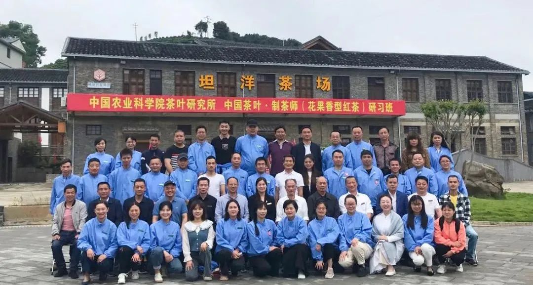 産地探源 名師授課 雙證結業 去年火爆的紅茶制茶師班限額報名 天天看點
