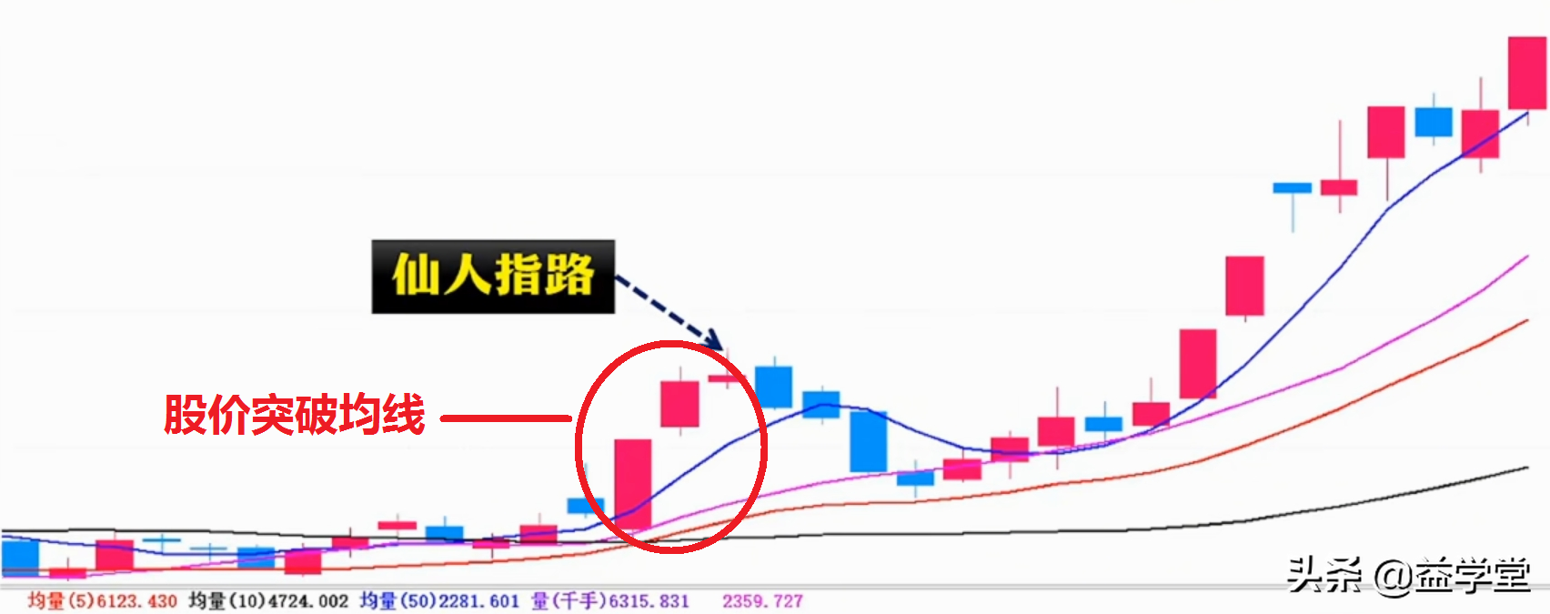 学会这招仙人指路，你的股票离盈利就不远了！小白股民更要看