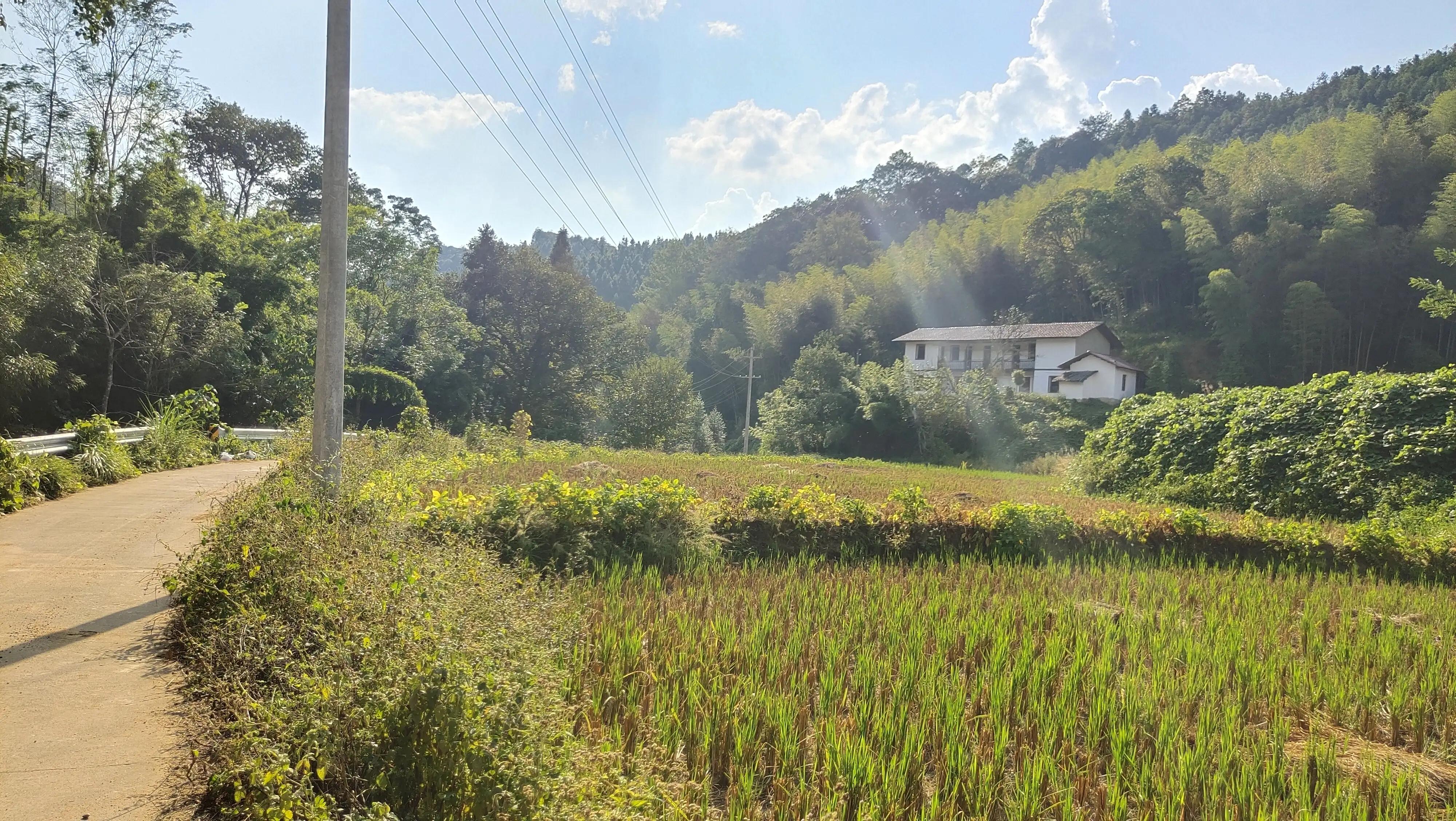 近水遥山皆有情，怀念家乡的童年与旧人