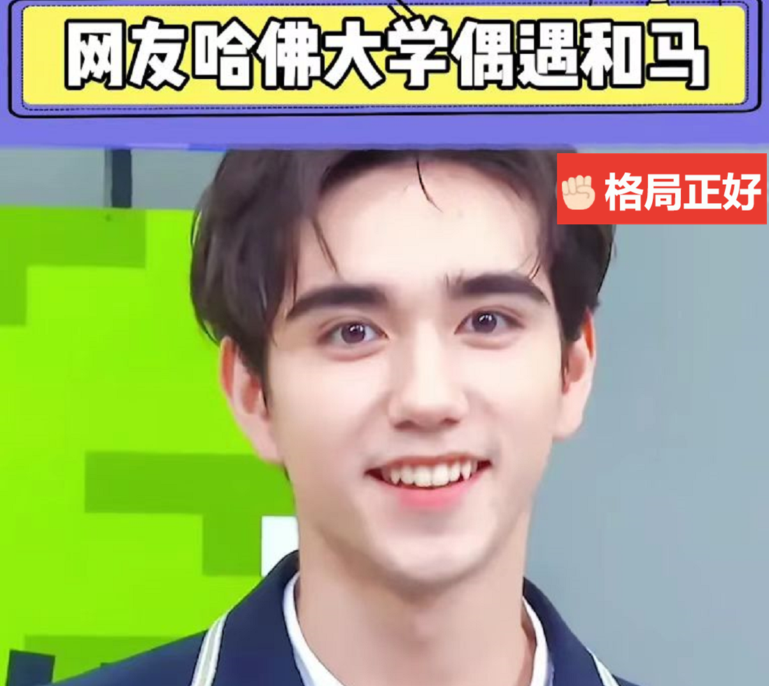 哈佛大学照片（哈佛大学偶遇）