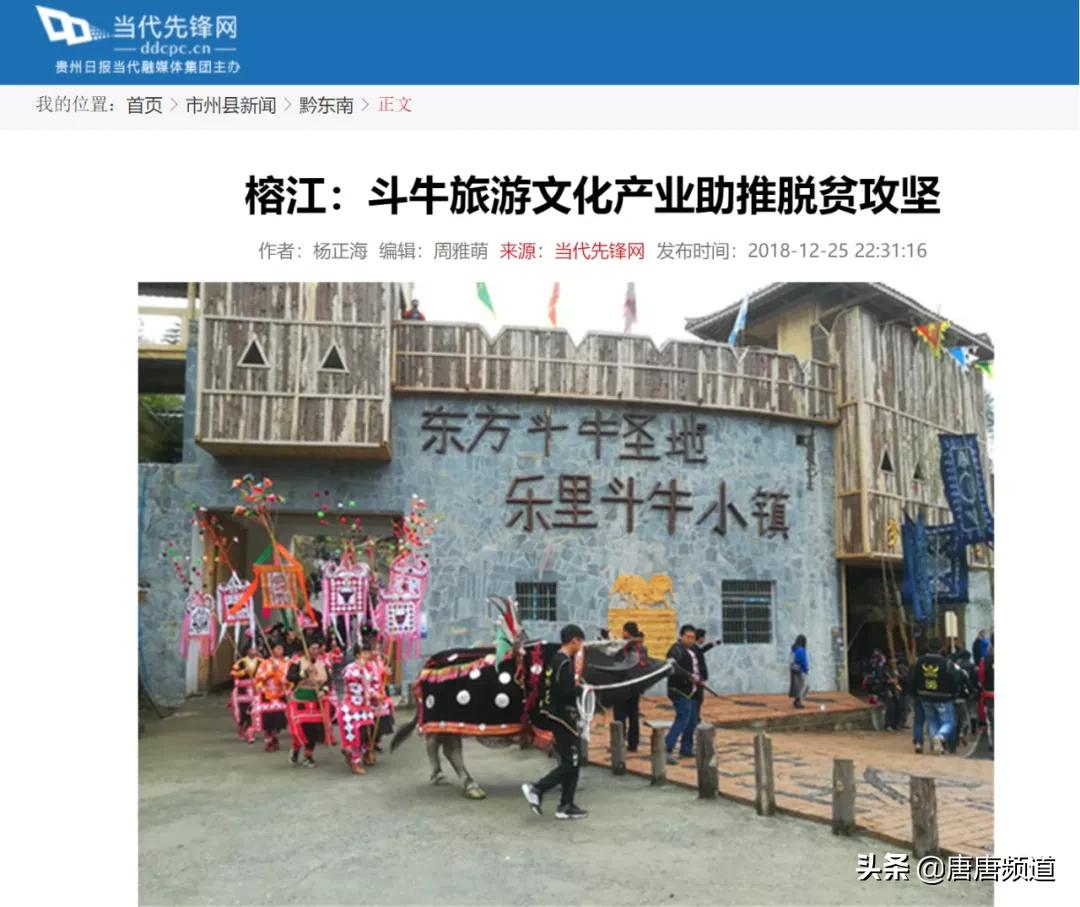 中国网红城市图鉴:狂野刺激的贵州斗牛,比西班牙斗牛勇百倍