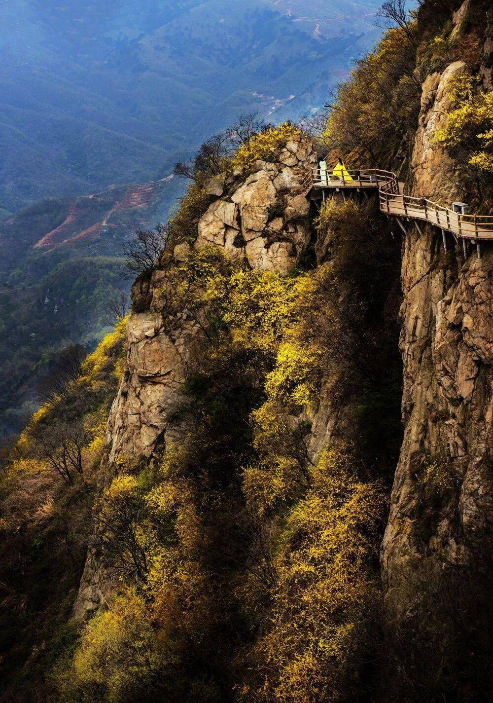 汝州九峰山(汝州九峰山景区的一日游攻略)