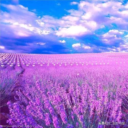 周海媚的星路是因为红斑狼疮而陷入低谷吗