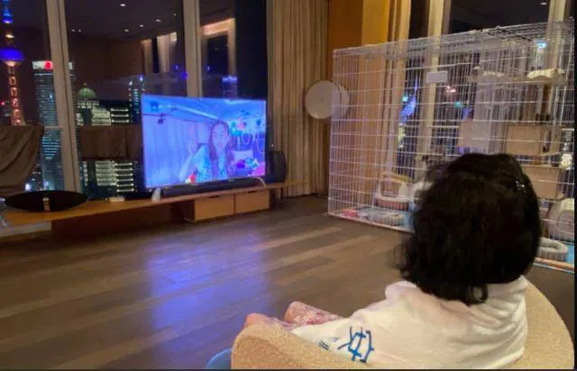 黄晓明、baby官宣离婚，7年间从合体代言到无商业关联