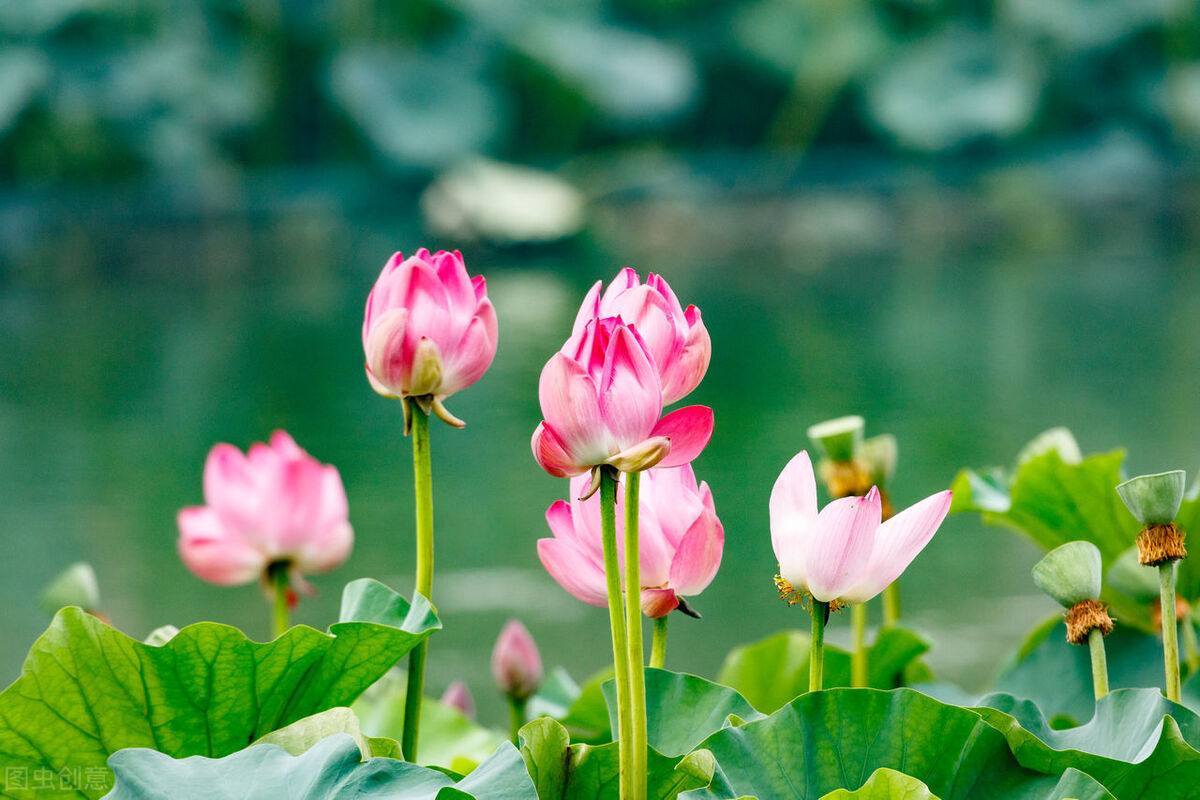 让男人更爱你的高手段：“风情”