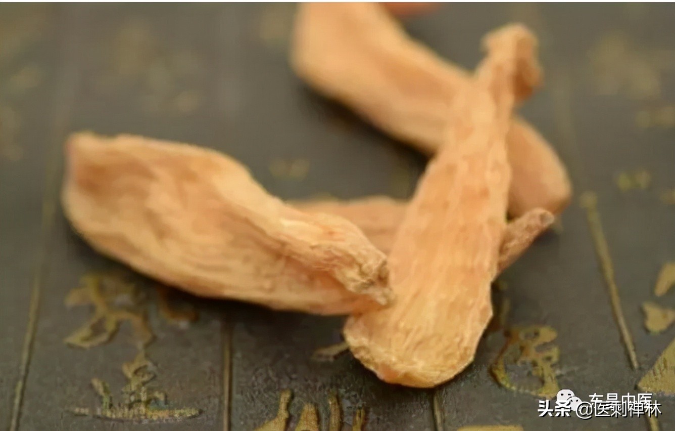 天麻叶子图片（天麻药物的功效和作用介绍）