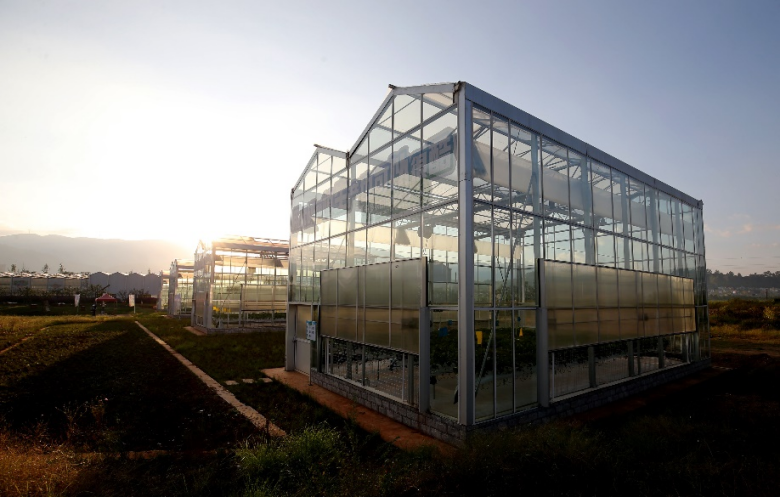 全球面临50年来最严重的“粮食危机”，谁来养活中国？