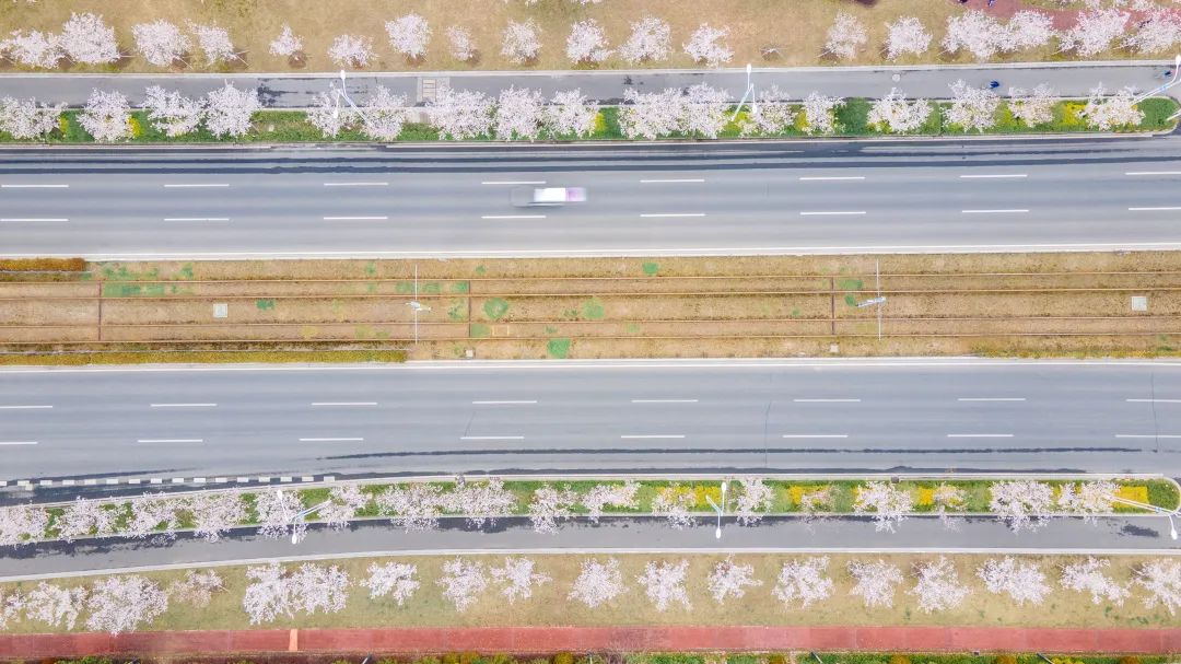 知道你不能来，我把苏州的春天拍给你看