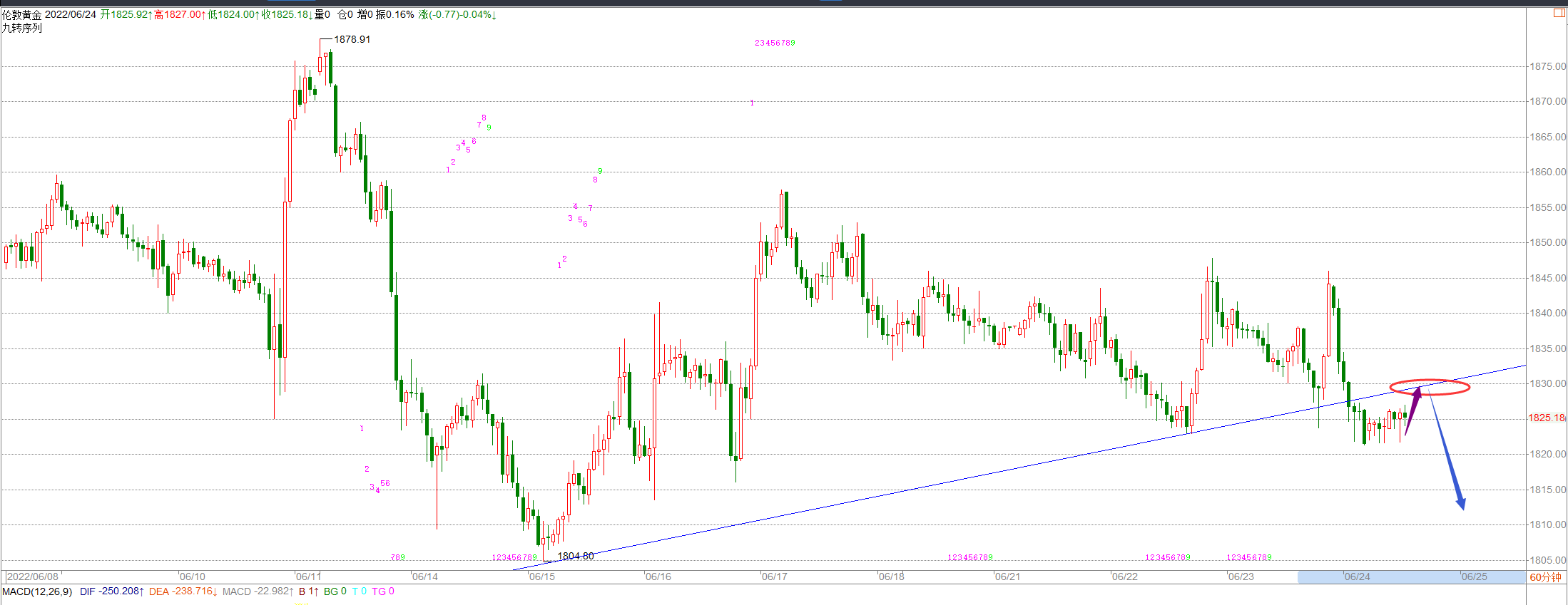 宁金虎：6.24黄金迎来关键时刻，行情走势分析及操作建议