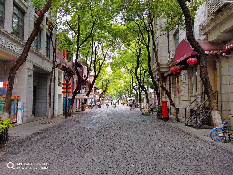 系统升级会“负优化”拍照？我们测了两台手机