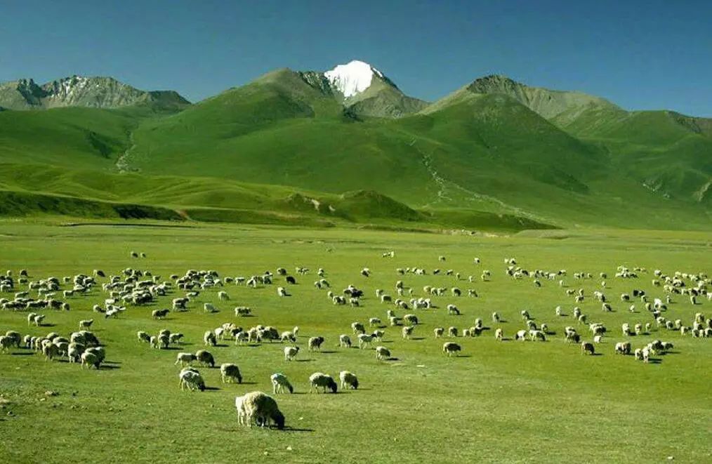 新疆100个最好玩的地方，去过10个，算你厉害！人生就真完美了