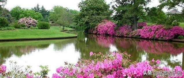 16首描述春游的诗词，清丽如画，名句倍出，值得收藏