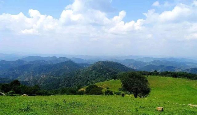 河南这个面积达253km的原生态美景，半开发没门票，自驾游首选