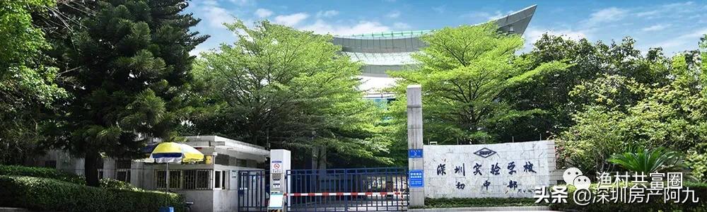 深圳学位房汇总——福田区‼️