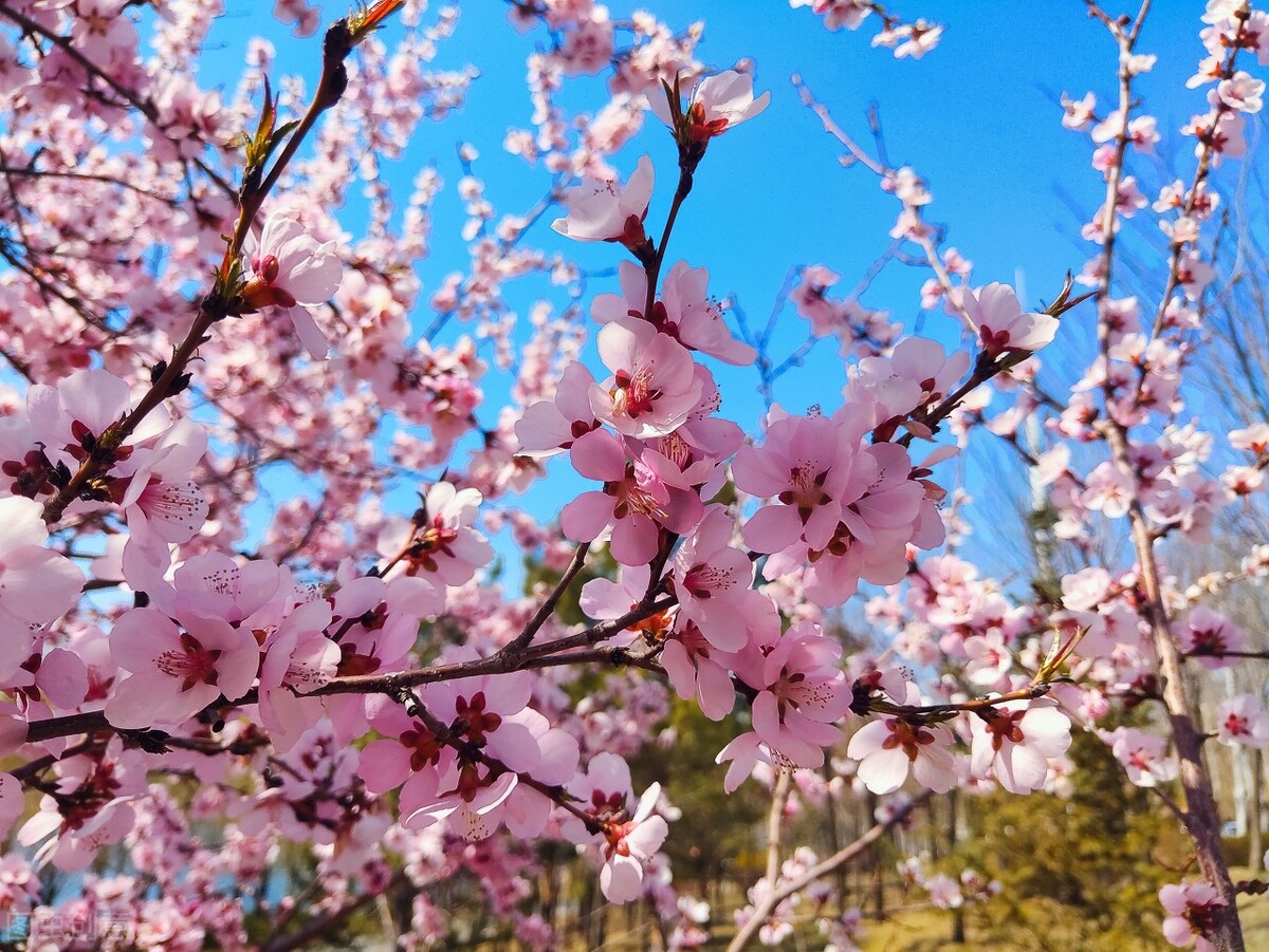 谢谢爱人的陪伴的句子（遇见你）