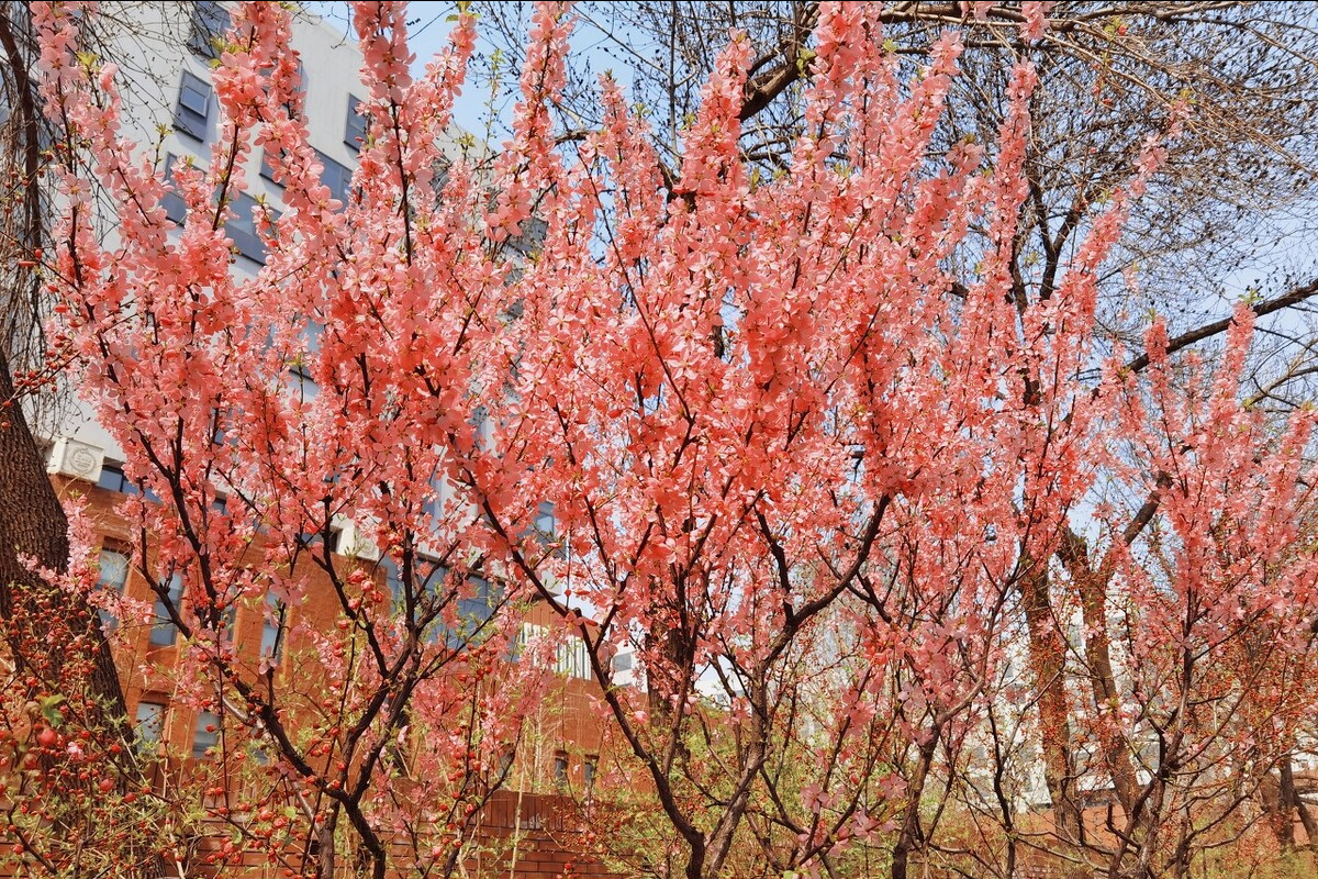 首都师范大学2022年美术、音乐等招生计划公布，你可以报考吗？