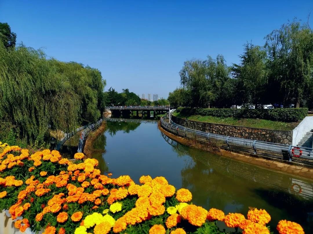 全职院士“坐镇”，成果打破国外垄断！湖北这所名校“霸气走红”