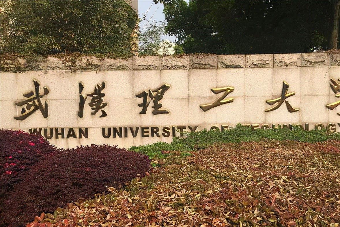 湖北省高校排名更新，武汉大学跌落榜首，武汉理工遗憾未进前五