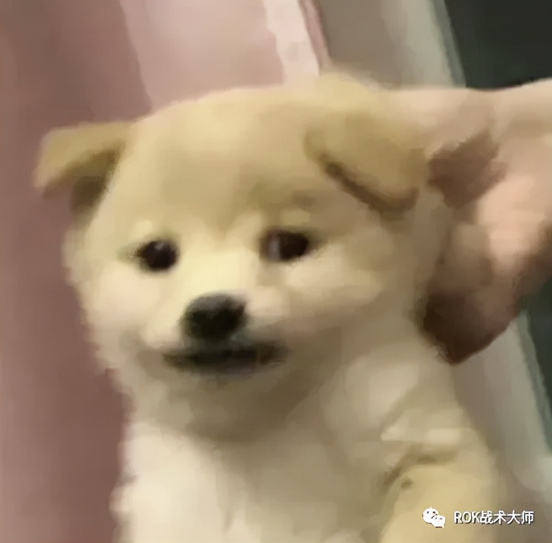 万国觉醒丨征服者威廉实测（上）