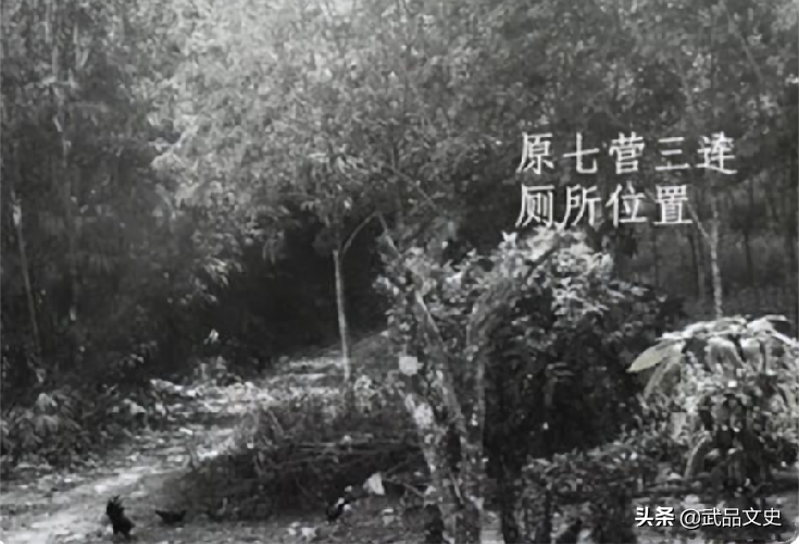 70年代至今都未破的悬案：女知青朱梅华雨夜出门上厕所，离奇失踪