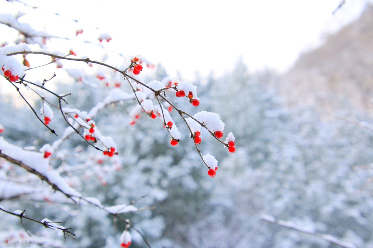 冬韵：红炉点雪，落纸云烟，愿冬来无恙，一切遂意