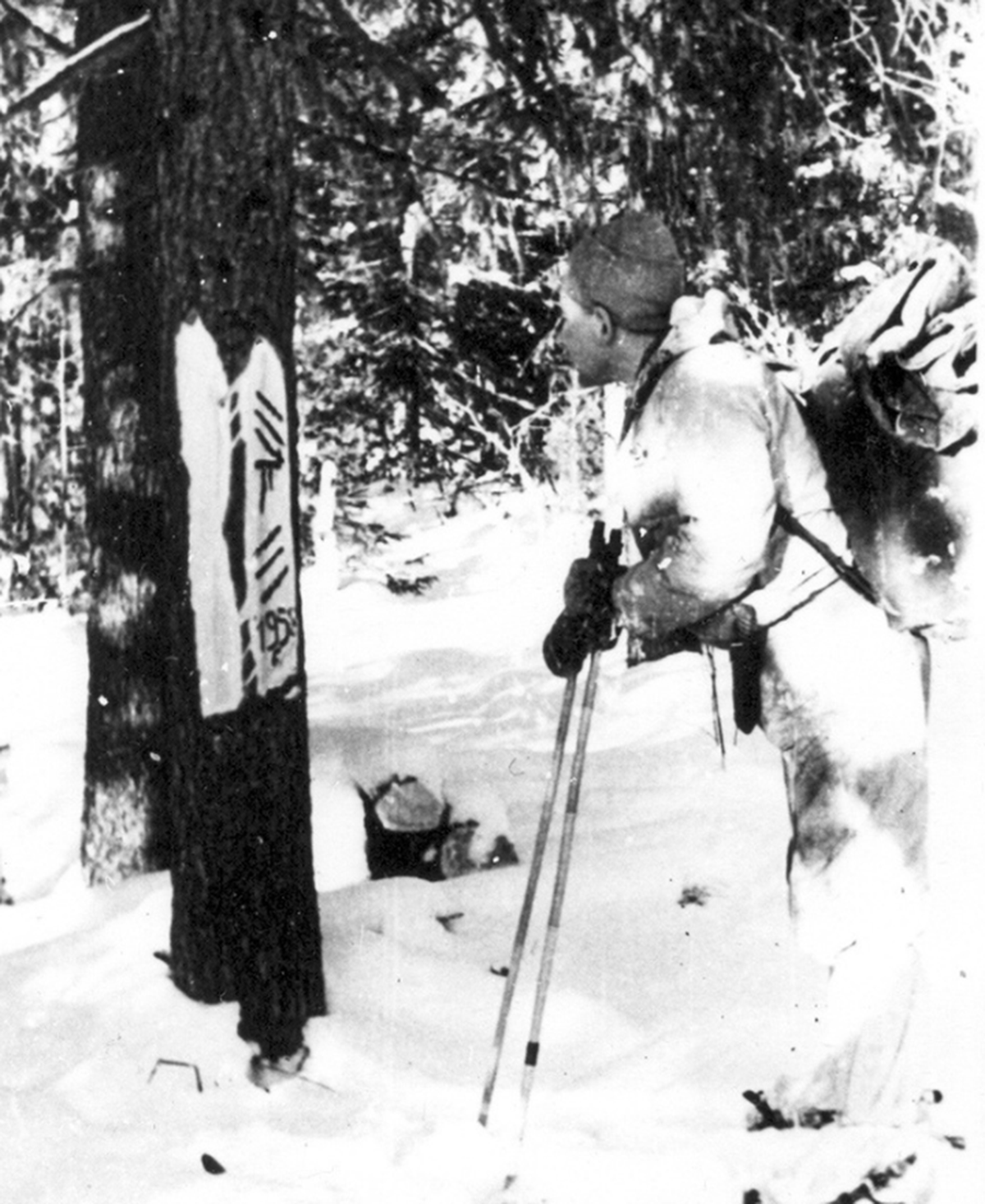 1959年登山事故，9名滑雪客离奇身亡，遗体被辐射，频现怪异线索