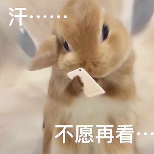 遥遥领先，华为手机里的宝藏APP你知道吗