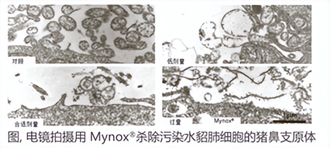 珍贵生物样品 清除支原体试剂