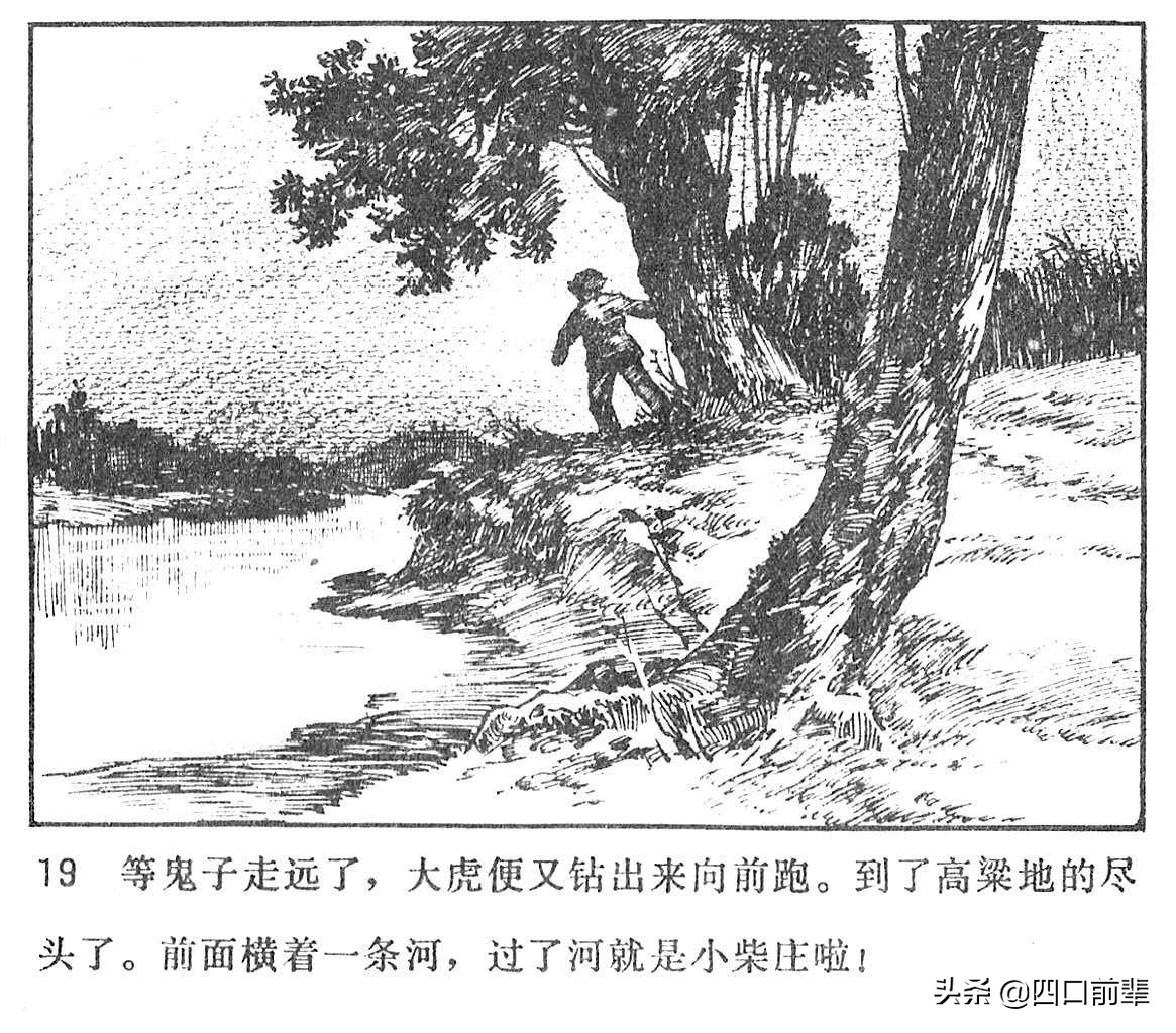 大虎和二虎 天津人民美术出版社 四口前辈 连环画 80后的回忆