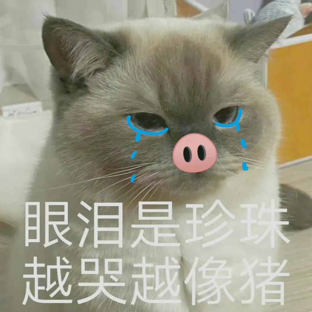 自动回复大全(qq离线自动回复有趣)