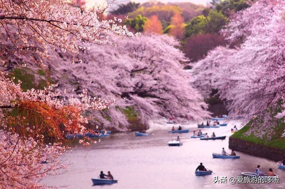 日本12处“零差评”宝藏旅行地，速度mark