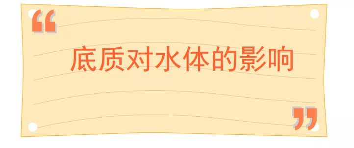 全面解析水產(chǎn)養(yǎng)殖池塘里的底質(zhì)幾大痛點問題，就在這里