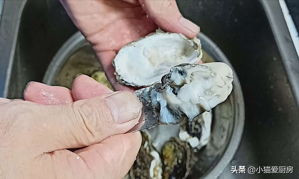 用蒜蓉粉丝蒸煲生蚝，3斤都不够吃，鲜嫩多汁入口那一刻太过瘾了