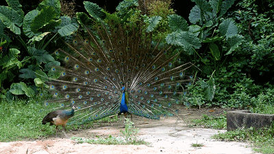 ����Ϊʲô��ʧȥ�������ǡ��������ǽ������ƣ����ǵ����ˣ�