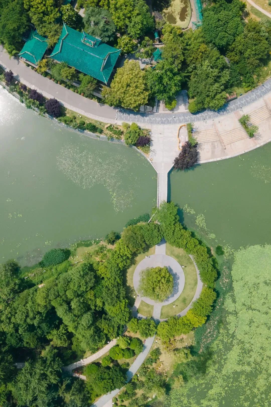 每年今天，汉阳这个湖就成了“爱情海”
