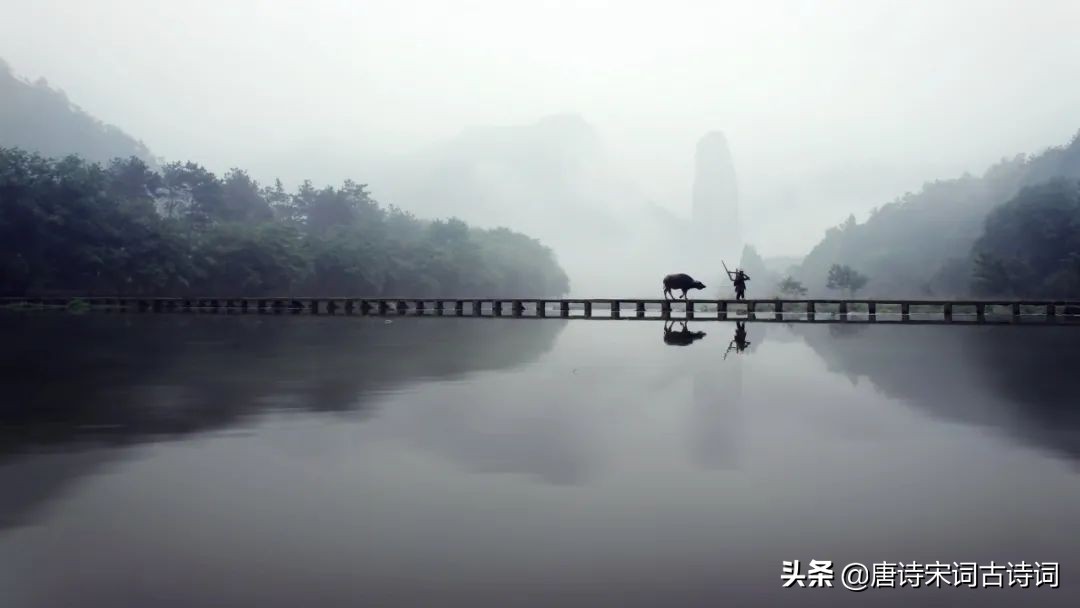 踏遍青山人未老