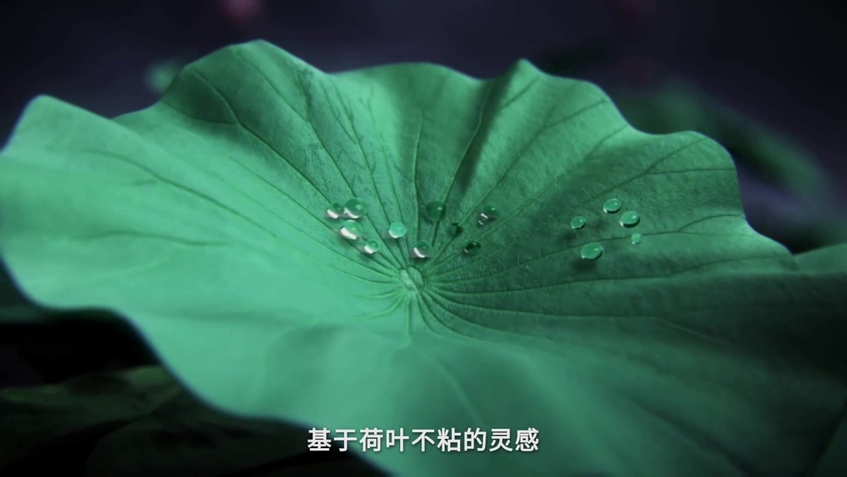 康巴赫0涂层不粘锅强势发布，开启炒锅划时代新篇章