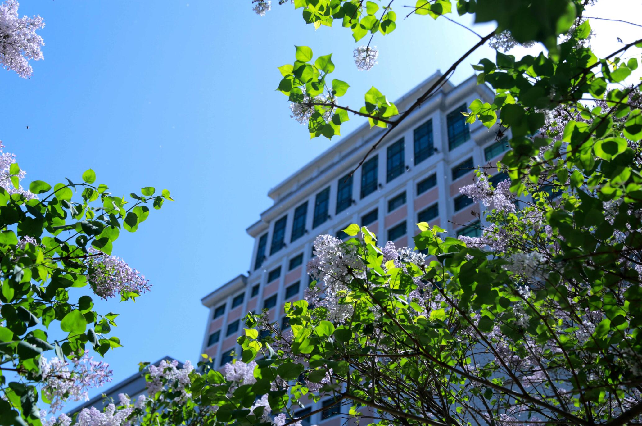 实力太强！不少考生宁愿放弃985，也要选择这10所“头部”211高校