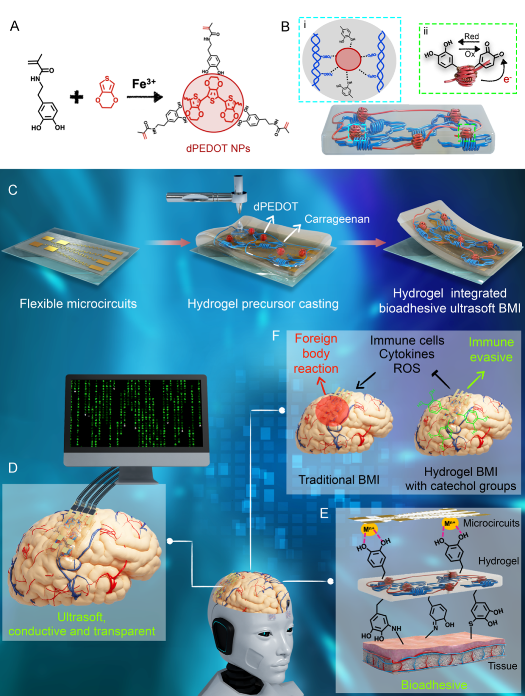 中国科学家研发柔性脑机接口，在10Hz左右找到α波
