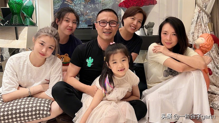 网友猜测章子怡在这张照片中看起来闷闷不乐，因为继女头发颜色