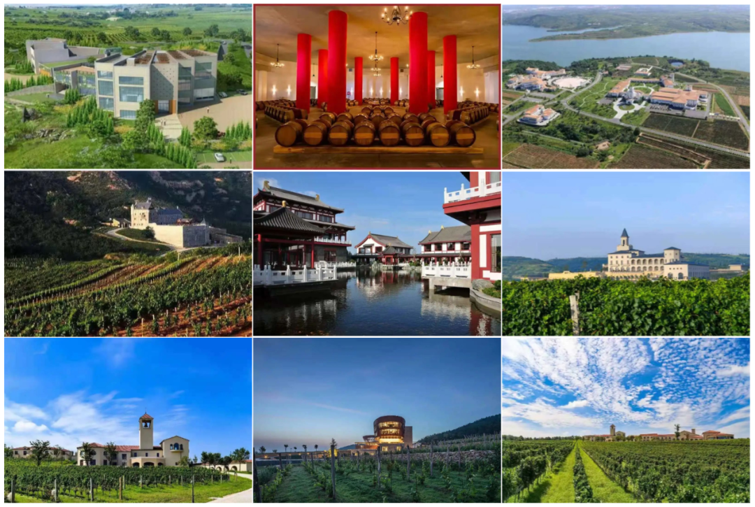 7月再启航：烟台葡萄酒产区昆明、成都、重庆巡展不见不散
