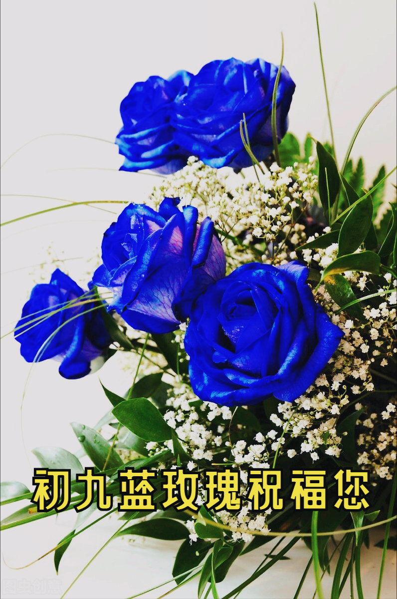 一花一喜庆,大年初九幸福到,99朵玫瑰送祝福,好运久久跟你走