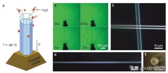 2021�꣡�й�����Щ�Ƽ��ϵĽ�չ��ͻ�ƣ��������ǵĵ���