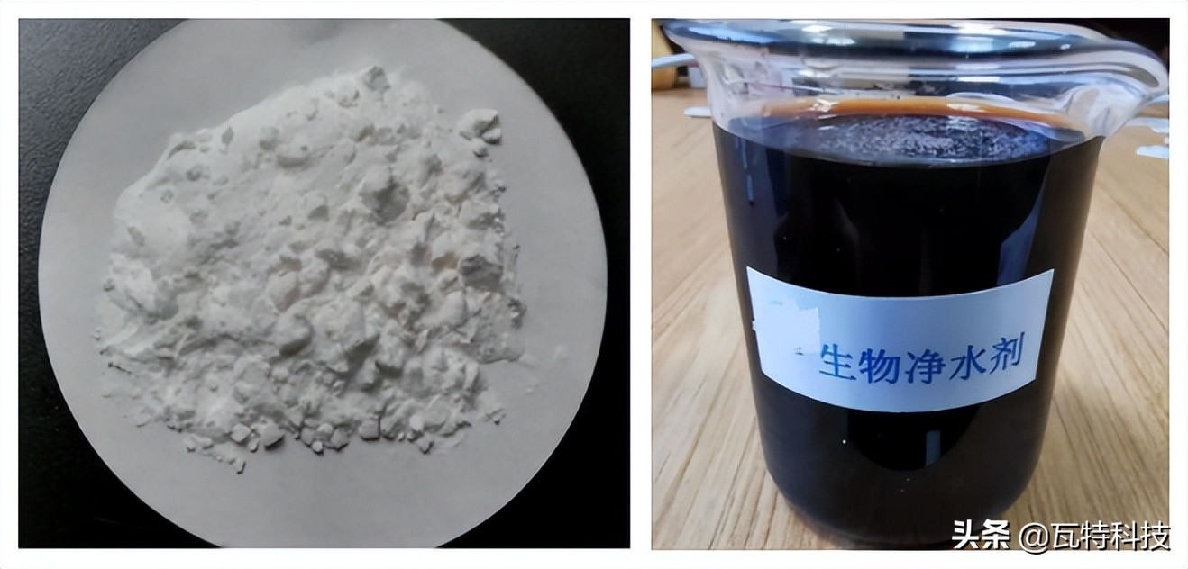 在碳中和以及节能环保大背景下，投资造富的产业机会