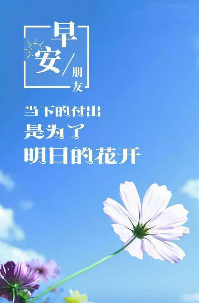 早安问候语 新的每一天请勇敢去尝试，拼命去追寻