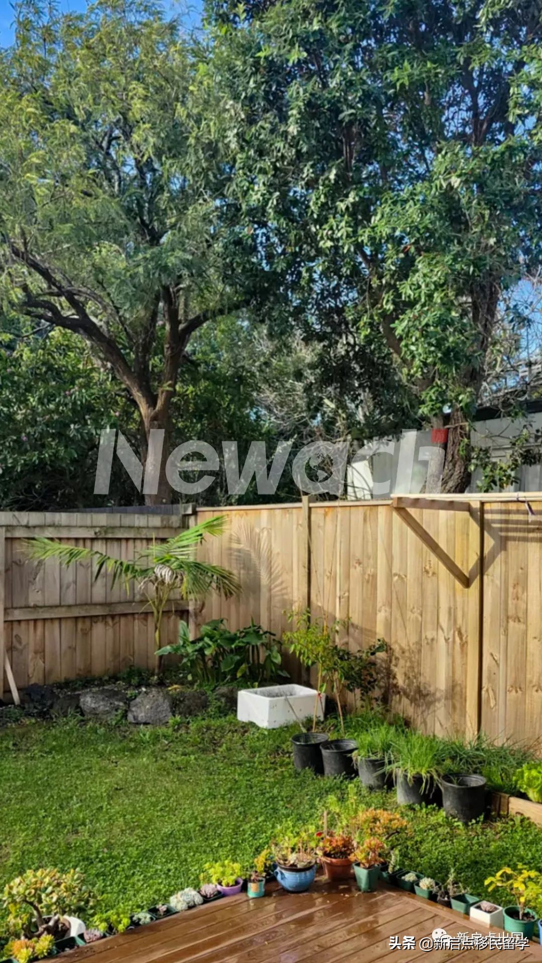 新西兰护士大赦项目客户顺利登陆！附接机及租房照片